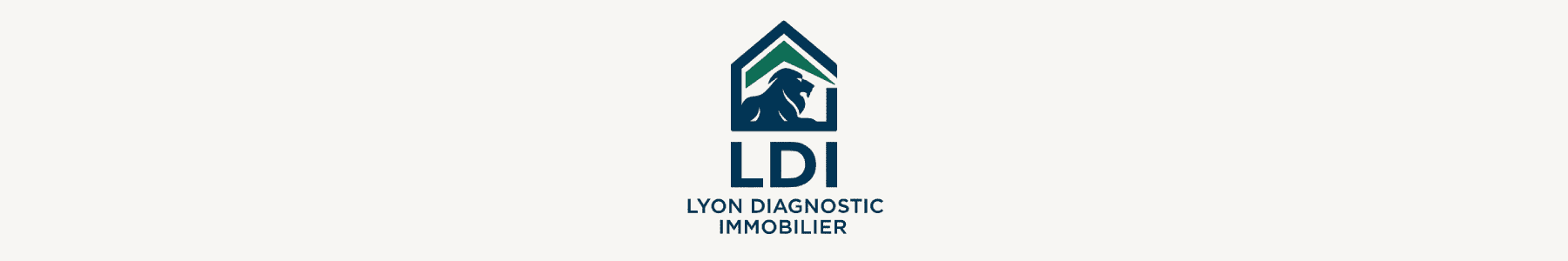 Lyon diagnostic immobilier, expert en Diagnostic et DPE