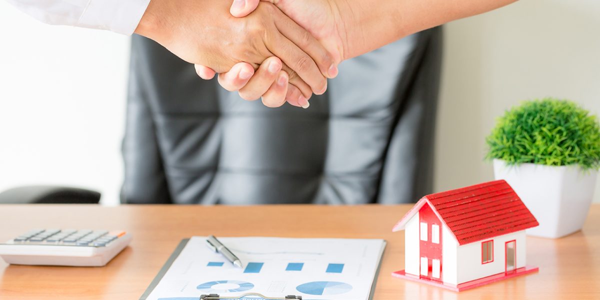 Graphique Plus-value immobilière SCI